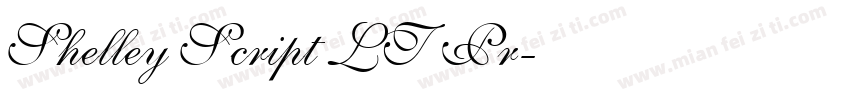 Shelley Script LT Pr字体转换